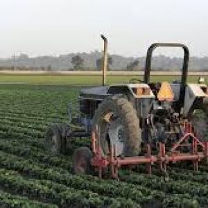 Smart Agribusiness: A Beginner’s Guide to Profitable Farming in Africa